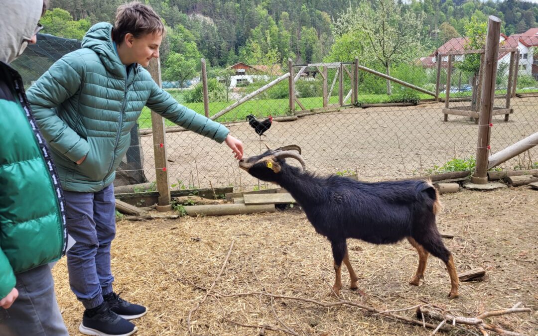 WPF Tierschutz am Bauernhof
