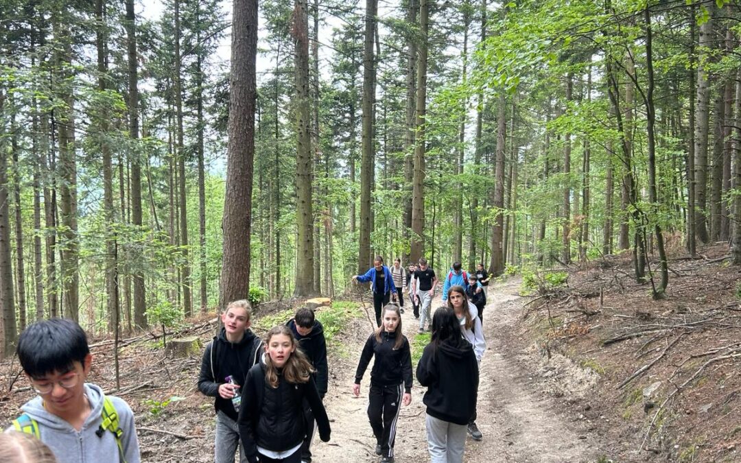 Waldjugendspiele 2a MS