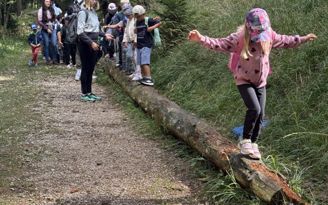 Ausflug auf die Hohe Wand